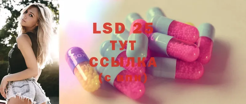 LSD-25 экстази кислота  закладка  Нолинск 